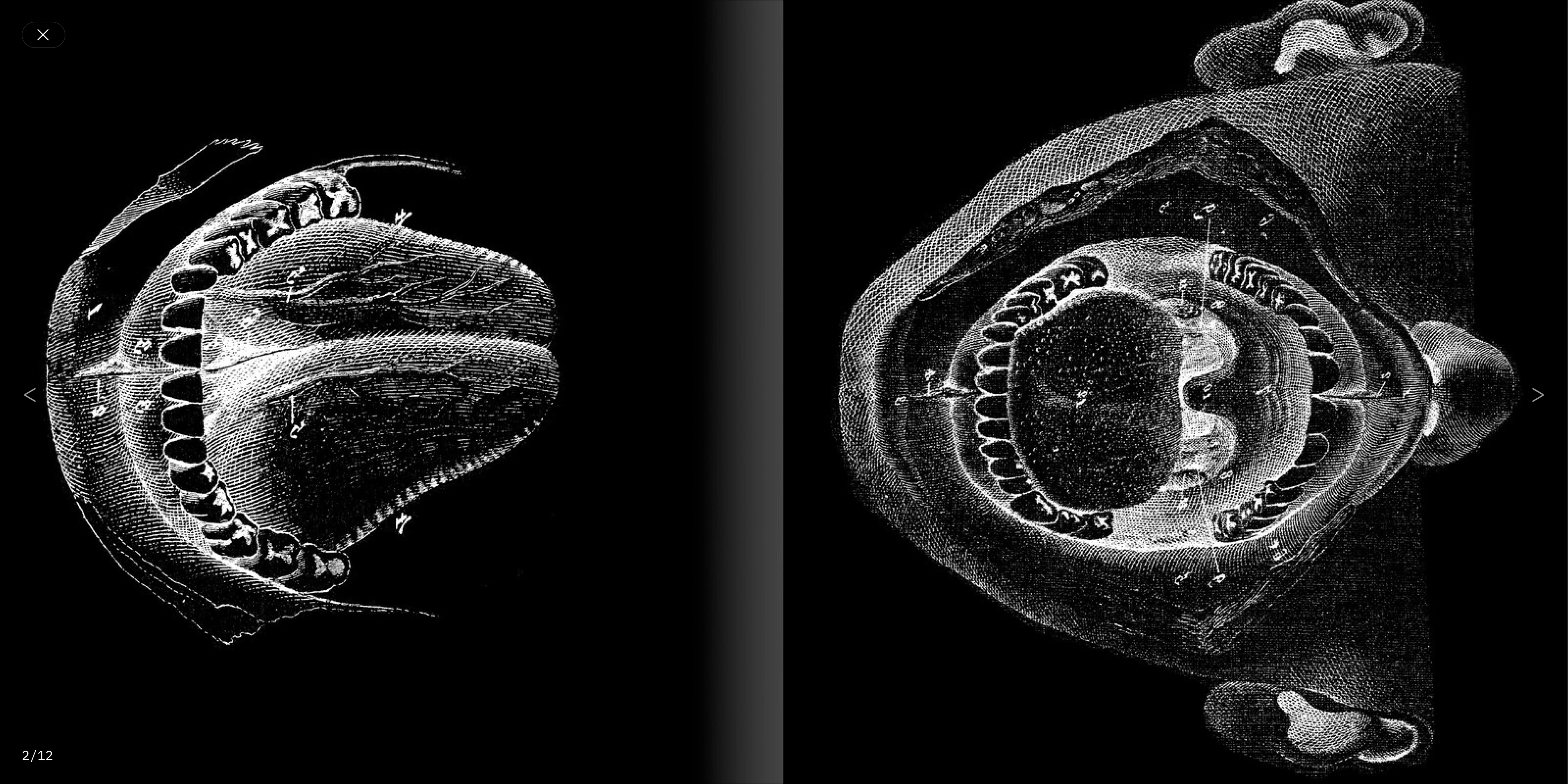 Kōhei Sugiura image details
